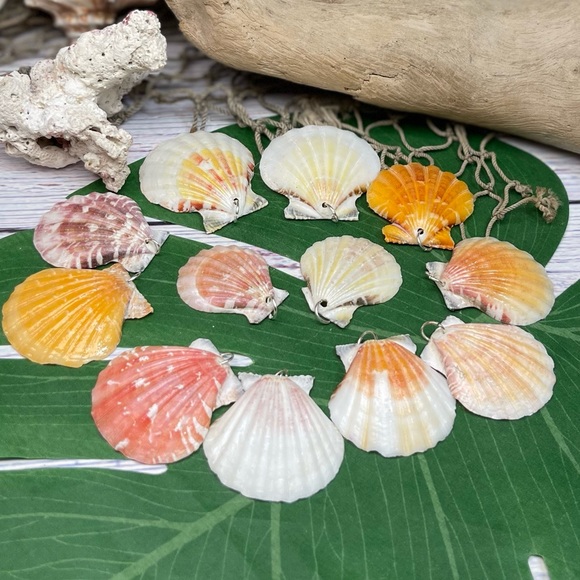 REAL Seashells Scallop Shells Pendants /Charms Lot with silver tone jump rings - Picture 2 of 16